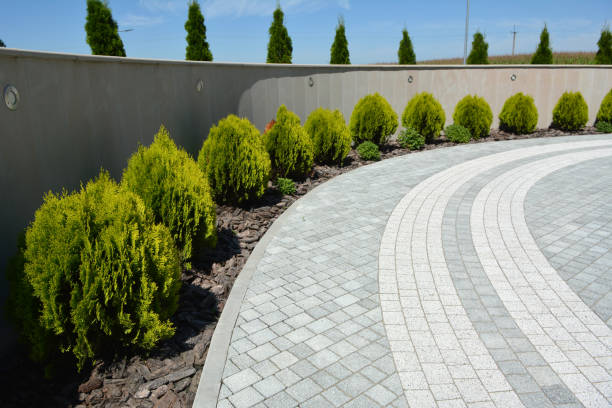 Best Custom Driveway Pavers  in Riverbank, CA
